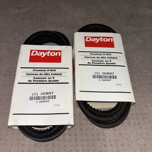 Juego de 2 correas en V Dayton Premium - Imagen 1 de 10