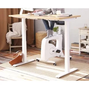 FLEXISPOT Electric Height Adjustable Standing Desk FRAME ONLY EC3WV2 SEE DETAILS - Picture 1 of 10