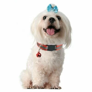 Small Dog Cat Collar CUTE USA ~ 20pcs/50pcs Buckle Bell Reflective Stripe - Picture 1 of 4
