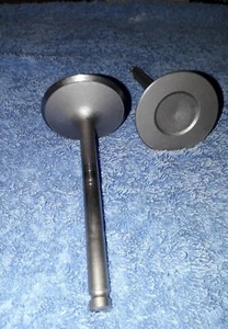 Daimler/Jaguar XJ6 4.2 Fuel Injection Intake Valves EAC1395 x2 - Picture 1 of 1