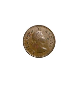 SOUTH AFRICA ELIZABETH II 1954 1/4 D PENNY CAPE SPARROWS ON ACACIA BRANCH Coin - Picture 1 of 4