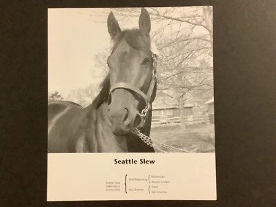 Foto SEATTLE SLEW Carreras de Caballos 1977 Triple Corona Foto 1 de 2