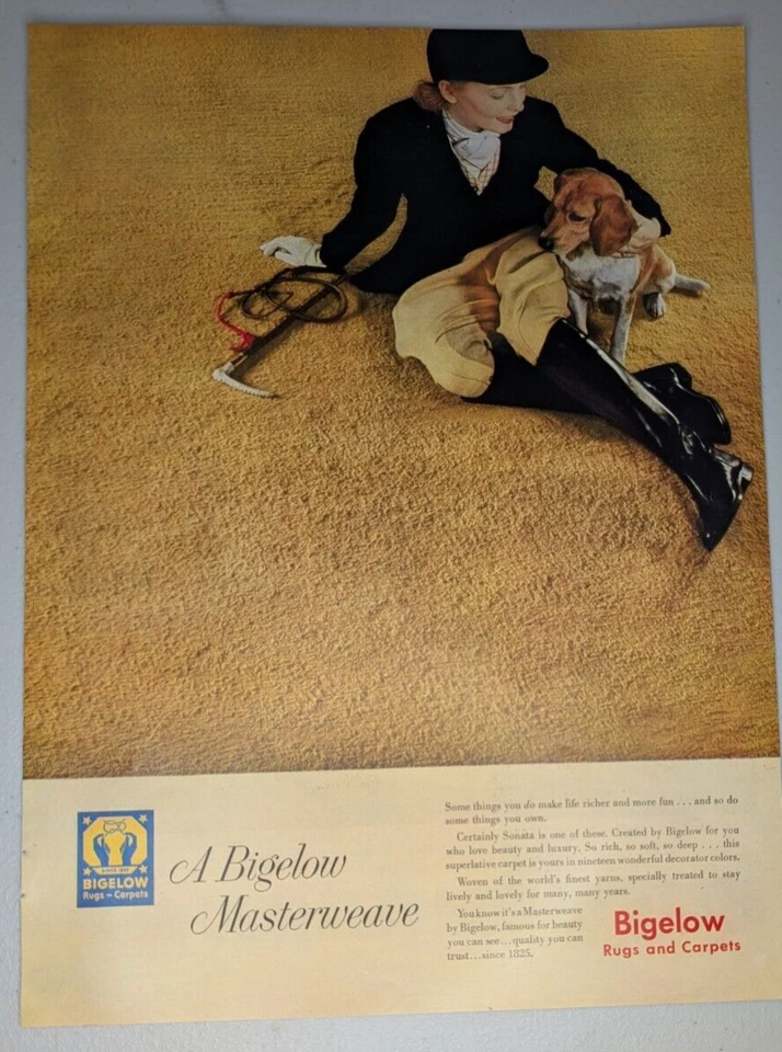 1952 Bigelow Vintage Print Ad Carpet Rug Beagle Woman Equestrian MCM Color Decor - Image 1 of 1