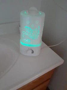 Vaporizer/Diffuser - Picture 1 of 10