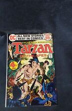 Tarzan #4 DC Comics  Comic Book