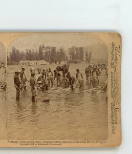 Seining Chenook Salmon Columbia River Oregon O Underwood Stereoview - Imagen 1 de 4