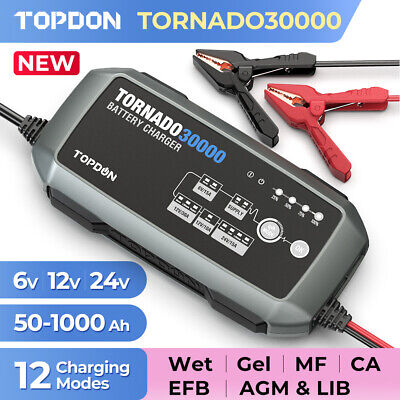 TOPDON Batterieladegerät Battery Charger Starthilfe Booster Kfz Auto 12/24V 30A • 236.92€