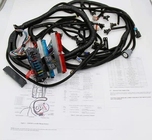 97 - 06 LS1 LS6 4.8 5.3 6.0 LQ4 LQ9 DBC MOTOR 4L80E ARNÉS DE CABLEADO INDEPENDIENTE - Imagen 1 de 7