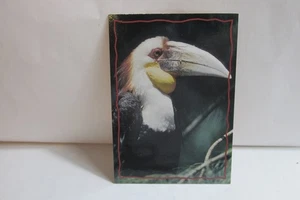 Vintage 1994 The Lion King Trading Cards # 161 Free Shipping - Picture 1 of 2