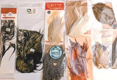 VTG Lot of Fly-Tying Feathers: Hackles, Hen Capes, Half Saddles, Crafts, Fishing - Image 1 of 4