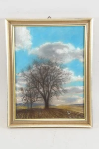 C15H12- Pastell Landschaft alter Birnbaum im Vorfrühling - Bild 1 von 12