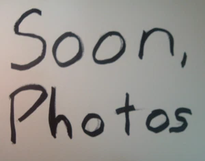 Shimano Ultegra RD-6600 SS Rear Road Derailleur-2x9/10-Spd Low Miles- NMint+ - Picture 1 of 1