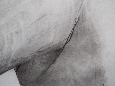 Hand Drawn Penis Anatomical Male Nude Phallus Pencil Tonal Drawing NSFW Art - Image 1 of 4