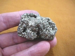 (R-515) Pyrit Huanzala Mine Mineral Narren Gold Eisensulfid Gesteinsprobe - Bild 1 von 1