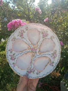 Limoges Ant. GDA Austernteller Made In France Rosen Blau Rot Gelb  - Bild 1 von 7