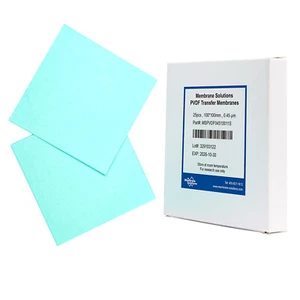 0.45μm PVDF Transfer Membrane–Western Blot Protein Immobilization Lab Filtration - Picture 1 of 4
