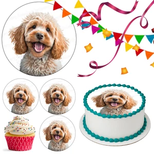 Cockapoo Dog Cake Topper Party Decoration Edible Birthday Celebration Cupcake - Picture 1 of 15
