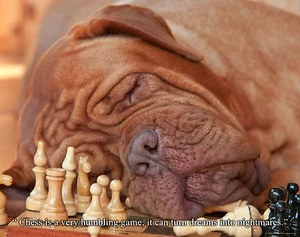 Chess Motivational Poster Print Pieces Board Books Game Kids Wall Art Decor Gift - Picture 1 of 1