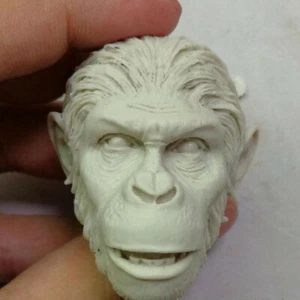 Blank Hot 1/6 Scale Head Sculpt Caesar Rise Of The Planet Of The Apes Unpainted - Picture 1 of 4