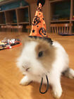 Ferret Rabbit Guinea Pig Halloween Hat Christmas Costume Xmas Clothes Outfit