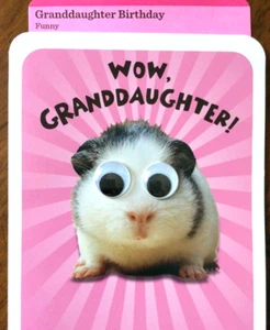 GRANDDAUGHTER Birthday Card, Funny card for KID Happy Birthday Hallmark 17D - Picture 1 of 3