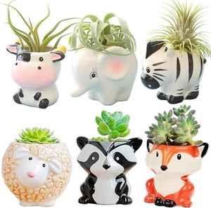 6Pcs Air Plant Holders Cartoon Shaped Small Succulent Pot Animal Planter Small - Picture 1 of 6