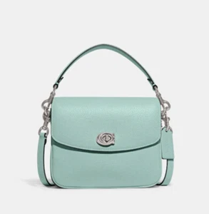 COACH Teal Cassie 19 Polished Pebbled Leather Crossbody Bag Handbag RARE Chain - Picture 1 of 11