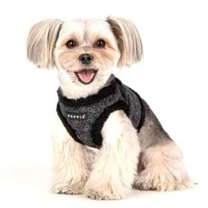 Chaleco Arnés Puppia Perro, Hepatica Negro Sin Tirar Ajustable con Etiqueta Inteligente S M L XL - Imagen 1 de 5