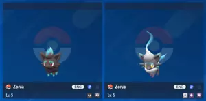 Shiny 6IV XXXL Illusion Unova & Hisui Zorua Bundle Pokemon Scarlet/Violet Home - Bild 1 von 3