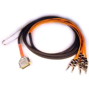 Avid DB25-TRS DigiSnake 12´ - Analoge Multicore Kabel - Bild 1 von 1
