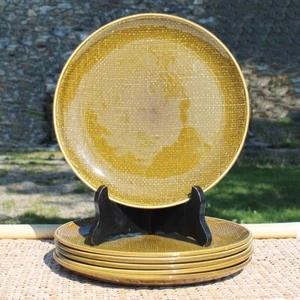 Ensemble de 6 assiettes plates vintage Salins modèle Miramar Bronze no Deauville - Picture 1 of 2