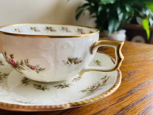 Excellent Rosenthal Sanssouci PASTORALE Tea Cup With Saucer Germany - Picture 1 of 15