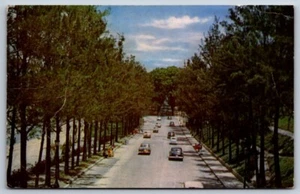 Postal Cromada Caracas Venezuela Avenida Principal Parque Los Caobos - Imagen 1 de 2