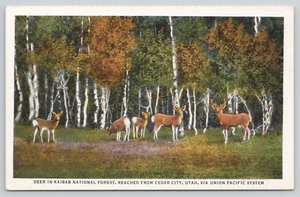 Postal Cedar City Utah Deer In Kaibab National Forest Union Pacific RR Lino - Imagen 1 de 2