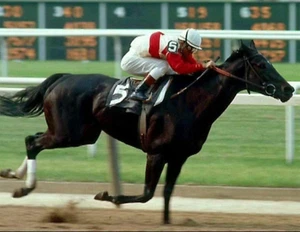 RUFFIAN 8x10 Fotodruck - Bild 1 von 1