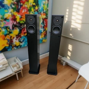 Totem Acoustics Arro in frassino nero (coppia) - Foto 1 di 2
