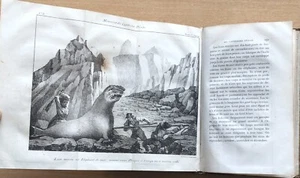 EO 1824 ERINNERUNGEN DES KAPITÄNS PERON AUF SEINE REISEN 2 Bände - Bild 1 von 8