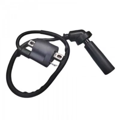 ✅ BOBINE D'ALLUMAGE pour   HYOSUNG  GT 250 R (2002-2009) - Photo 1/3