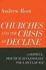 Churches Crisis Decline Hopeful Practical Ecclesio By Root Andrew -Paperback