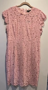 MIUSOL Pink Lace Sheath Style Dress w/Hidden Back Zipper, Size 1XL, NWT - Picture 1 of 7