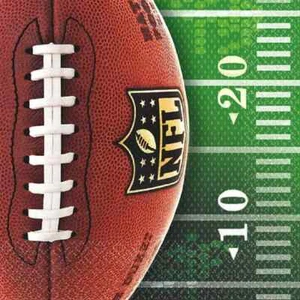 NFL Drive Pro Football Sports Banquet Birthday Party Paper Beverage Napkins - Picture 1 of 1