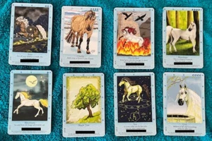 Bella Sara Northern Lights 2007 8 Stück - Bild 1 von 1