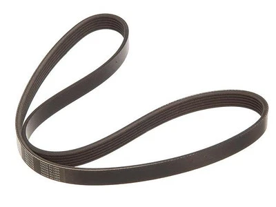 For 2003-2006 Infiniti G35 Multi Rib Belt 67462ZYJG - Изображение 1 из 2