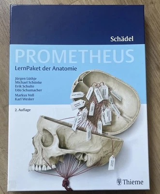Prometheus Lernpaket Anatomie: Schädel - Sehr Gut Erhalten - Bild 1 von 3