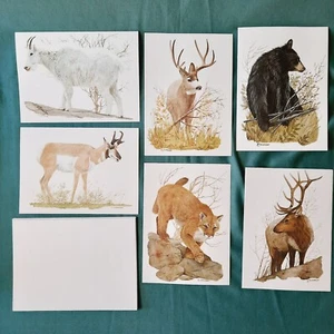 6 Rocky Mountain Wildlife Blank Note Cards Artist R Dorman Current Inc 7" x 5" - Picture 1 of 16