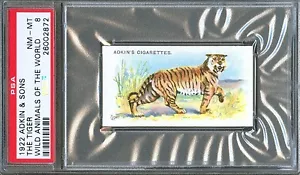 1922 Adkin & Sons The TIGER Wild Animals of the World Trade Card PSA 8 - Picture 1 of 2