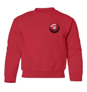 Golf Legend TIGER WOODS GOLF BALL Sport Masters Youth Crewneck Sweater - Picture 1 of 3