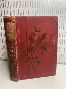 1882 The Alps and the Rhine ( Percy Family) Daniel C. Eddy Red HC Worn - Picture 1 of 23
