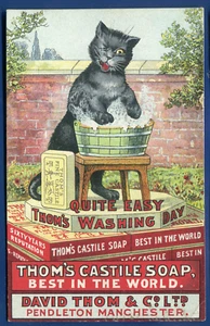 Jabón publicitario Thom's Castilla bañera para gatos - Imagen 1 de 2
