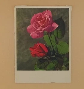 Tarjeta de felicitación vintage, rosas rosadas y rojas - no usada - Imagen 1 de 2